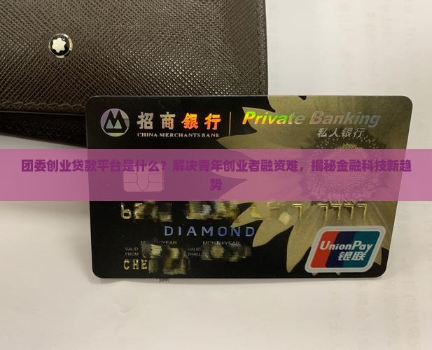 团委创业贷款平台是什么