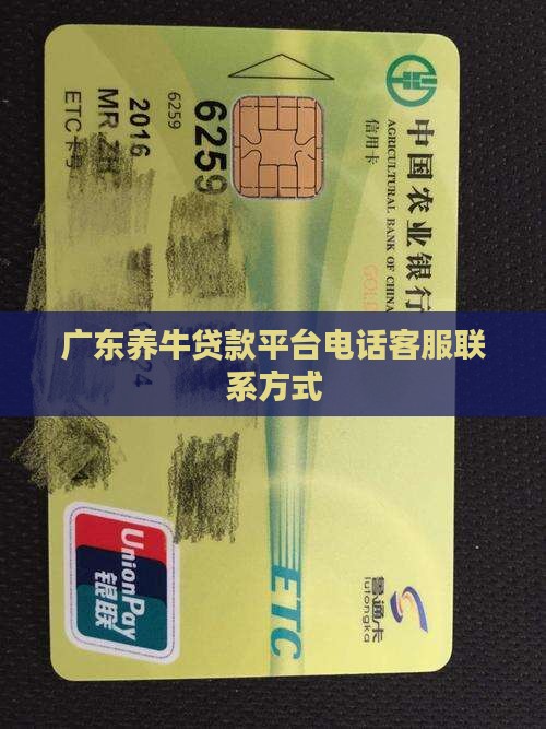 广东养牛贷款平台电话