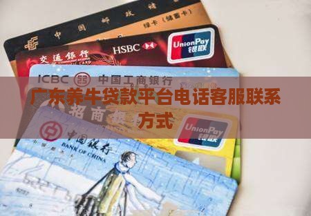 广东养牛贷款平台电话