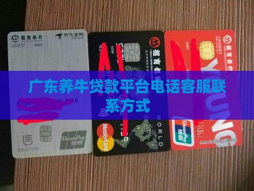 广东养牛贷款平台电话