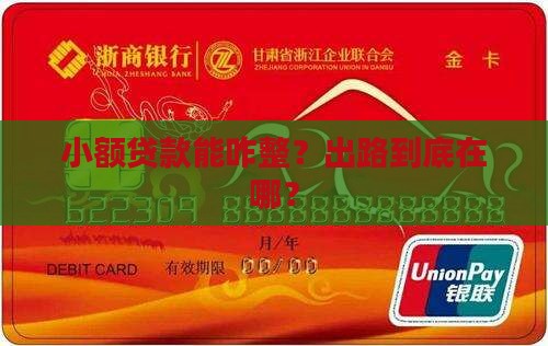 小额贷款怎么发展