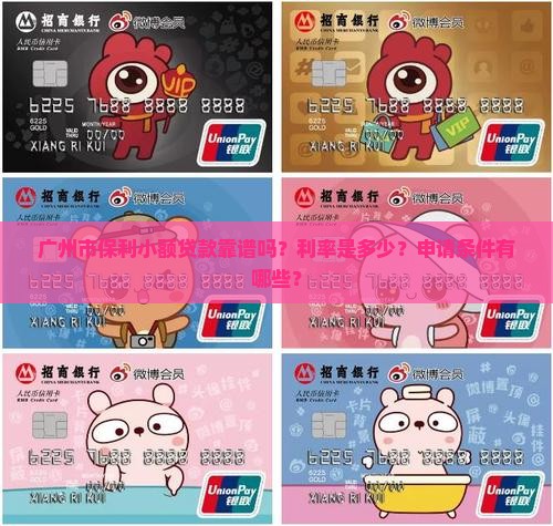 广州市保利小额贷款