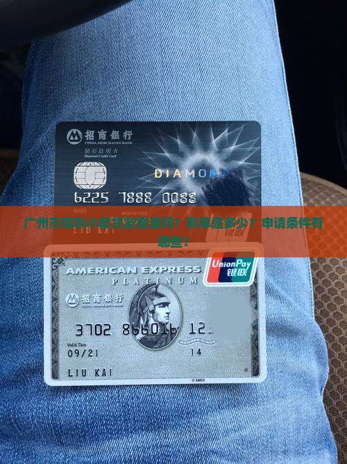 广州市保利小额贷款