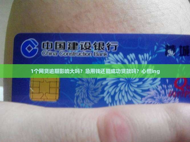 征信网贷逾期还能贷款吗