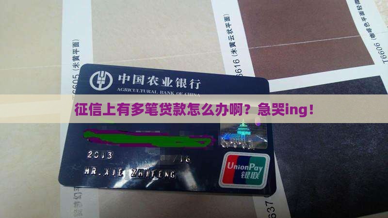 征信有好多贷款怎么办啊