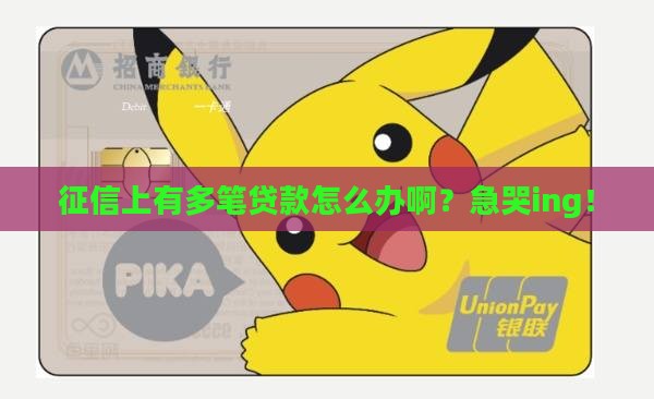 征信有好多贷款怎么办啊
