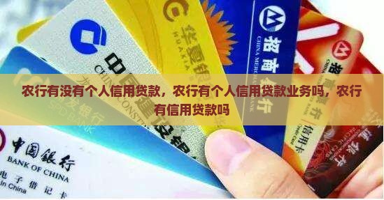 农行有没有个人信用贷款
