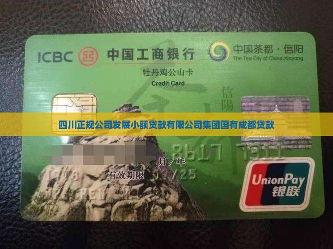 四川贷款正规公司 四川贷款正规公司