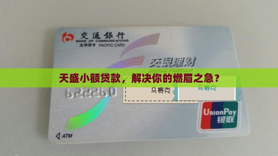 天盛小额贷款