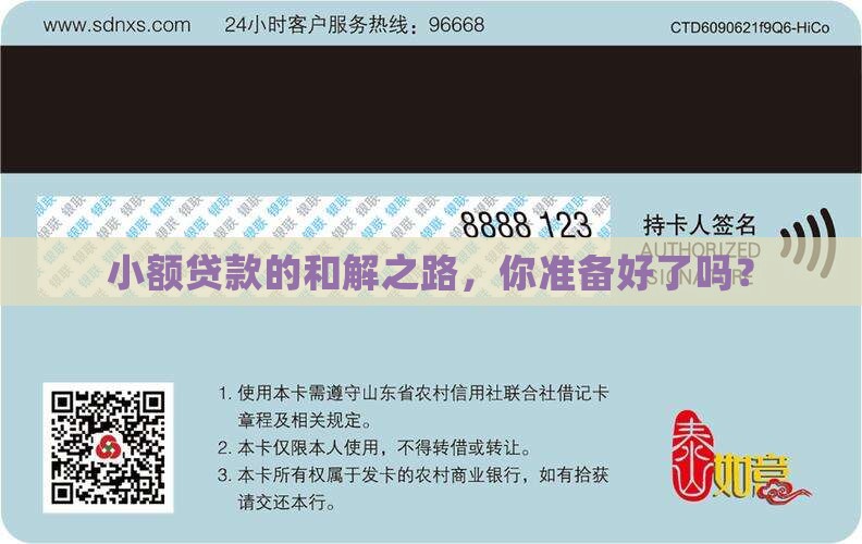 小额贷款和解