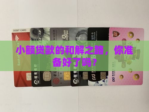 小额贷款和解