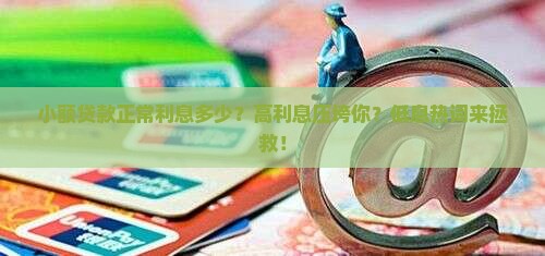 小额贷款正常利息多少