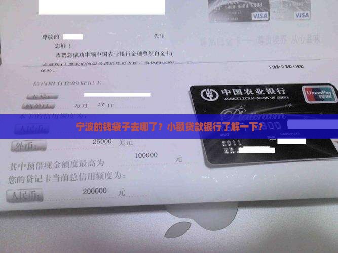 宁波小额贷款银行