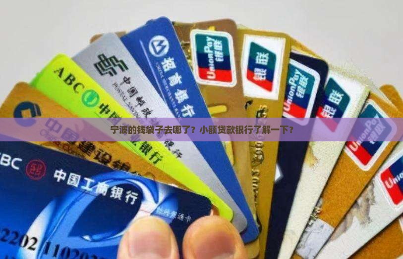 宁波小额贷款银行