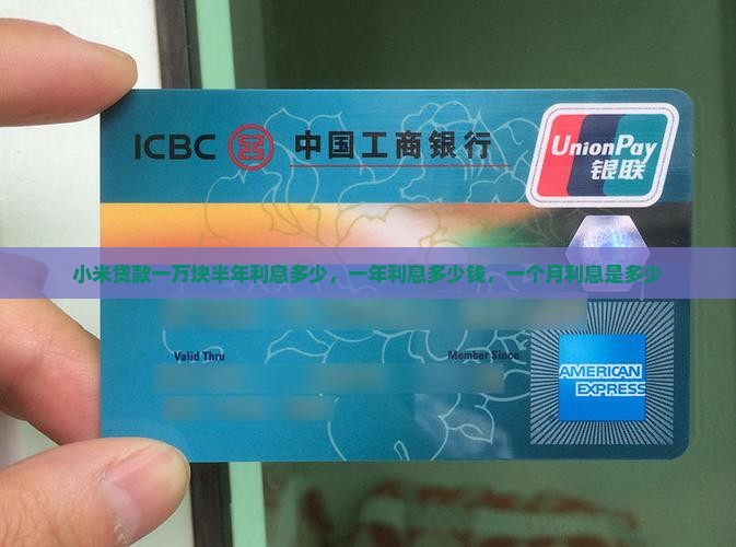 小米贷款一万块半年利息