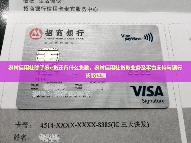 农村信用社除了农e贷还有什么贷款