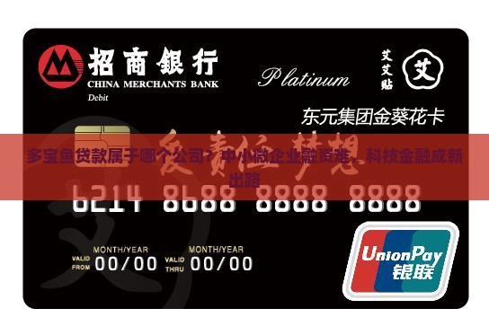 多宝鱼贷款属于哪个公司
