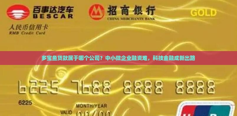 多宝鱼贷款属于哪个公司