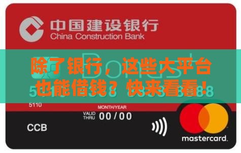 哪些大平台也有贷款业务