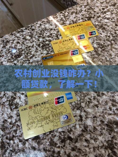 在农村创业小额贷款