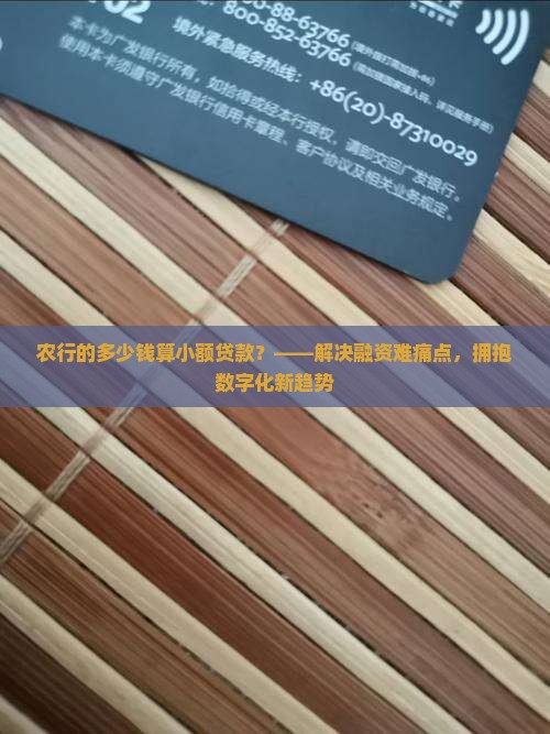 农行的多少钱算小额贷款