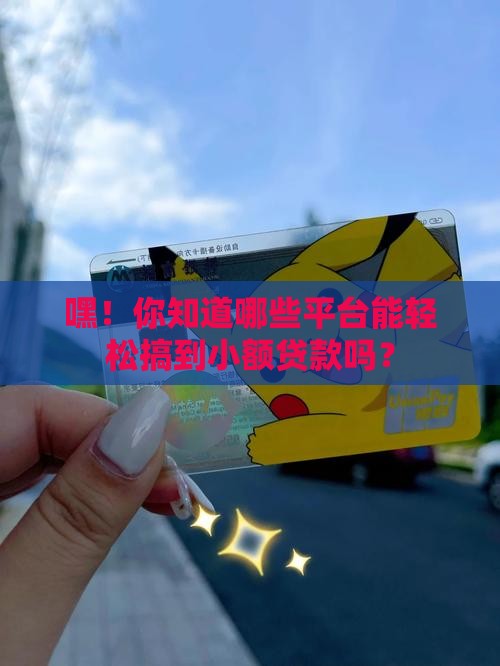 小额贷款都是有什么平台