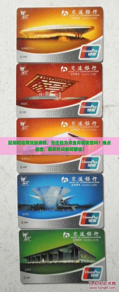 延期和信用贷款调研