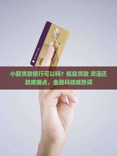 小额贷款银行可以吗