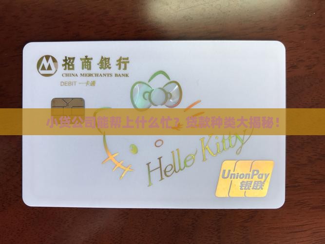 小贷公司提供哪些贷款