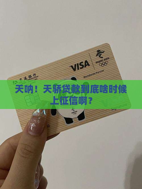 天骄贷款多久上征信