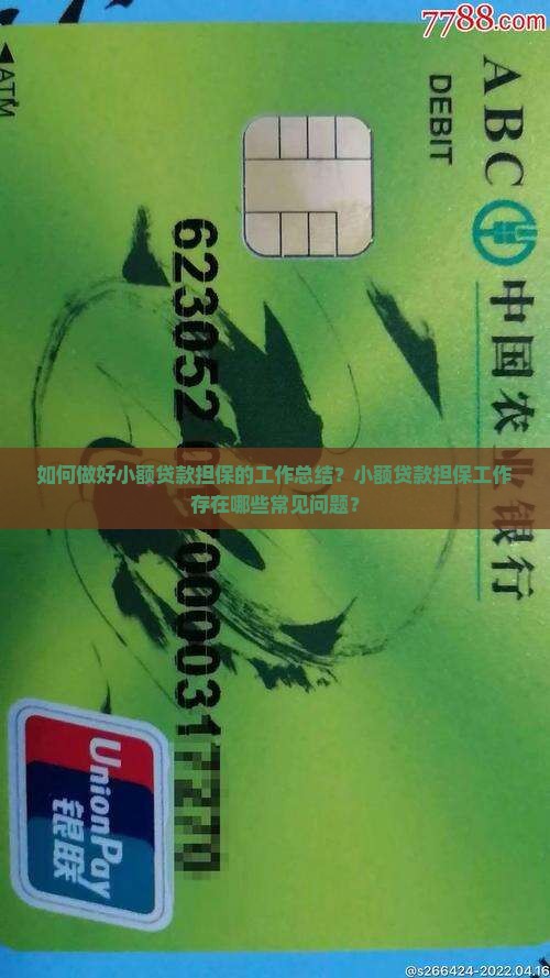 工作总结小额贷款担保