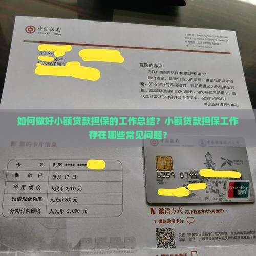 工作总结小额贷款担保