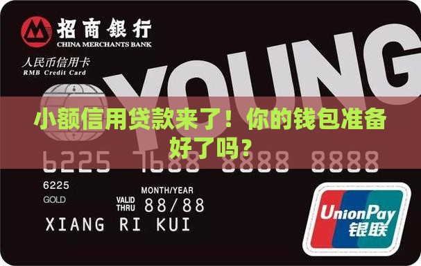 小额信用贷款实施办法