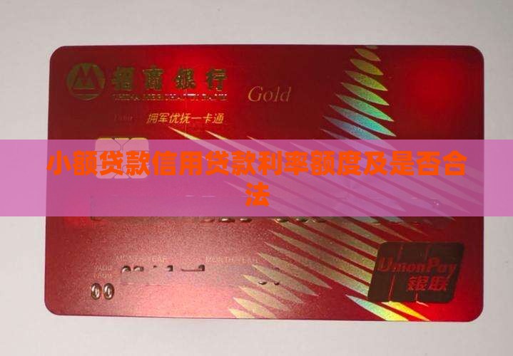 小额贷款信用贷款