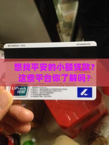 平安小额贷款平台有哪些
