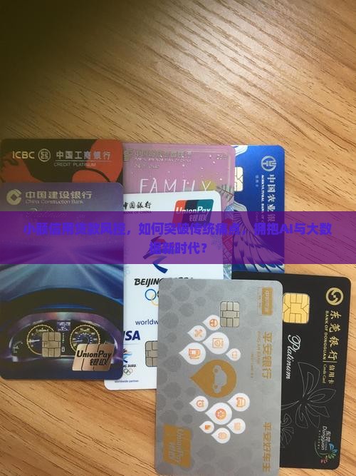 小额信用贷款风控
