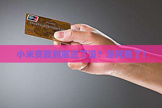 小米贷款还了还没还 小米贷款还了还没还