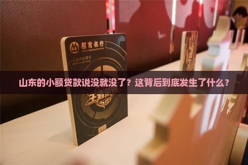 山东取消小额贷款