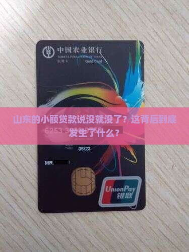 山东取消小额贷款