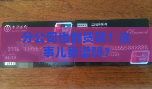 分公司可以贷款么