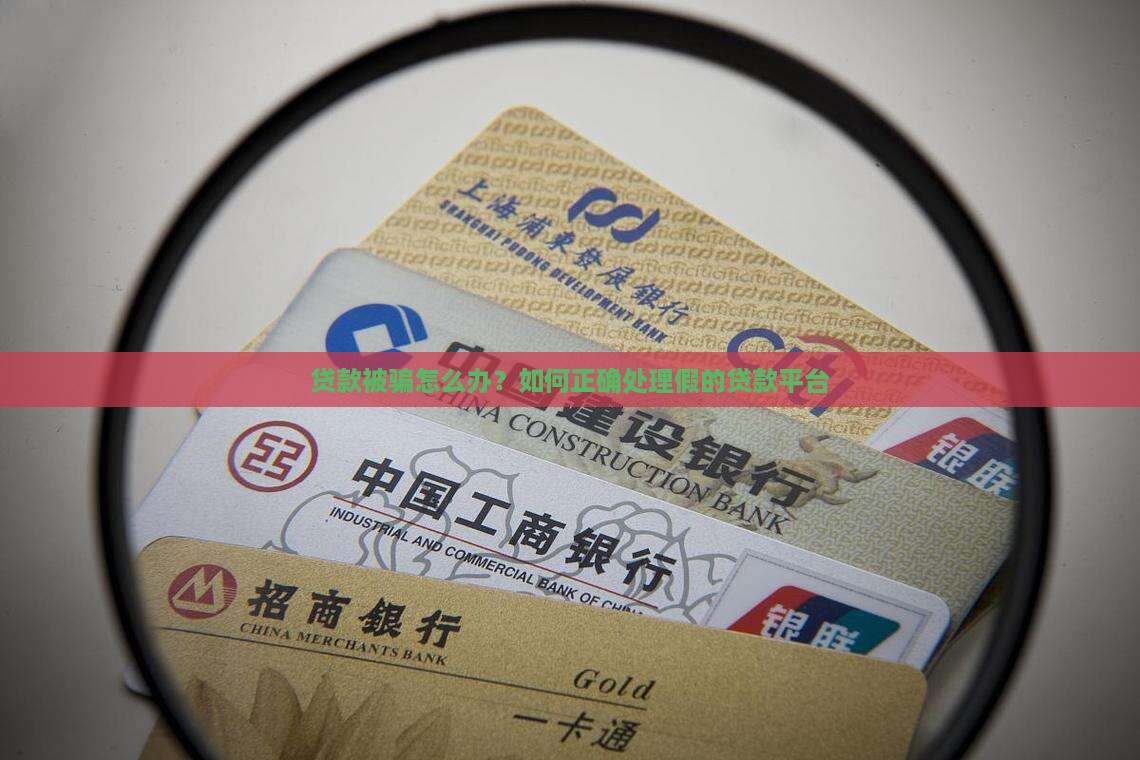处理假的贷款平台