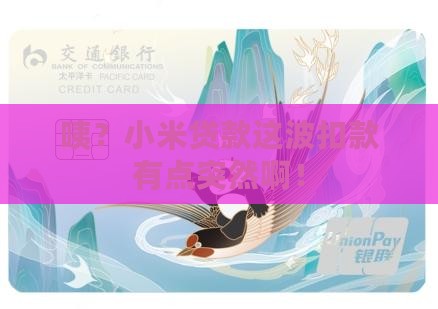 小米贷款扣款了 小米贷款扣款了