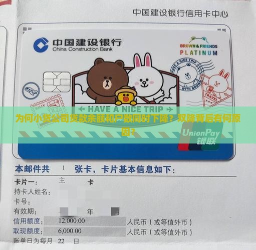 小贷公司贷款双降