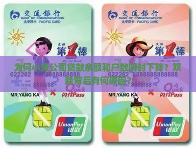 小贷公司贷款双降