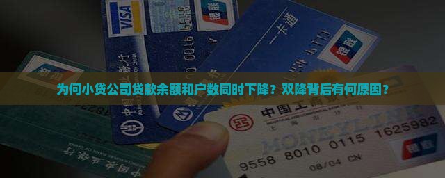 小贷公司贷款双降