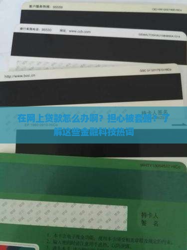 在网上贷款怎么办啊