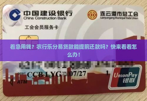 农行乐分易贷款怎么申请提前还款