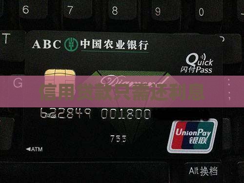 只用还利息的信用贷款 只用还利息的信用贷款
