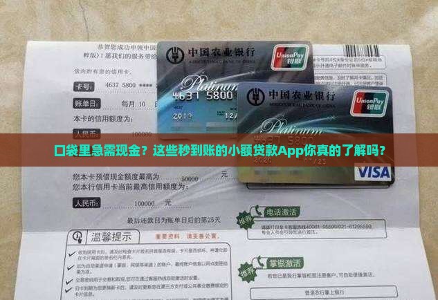 小额贷款不用审核的app有哪些