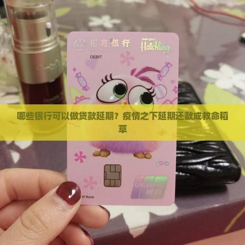 哪些银行可以做贷款延期